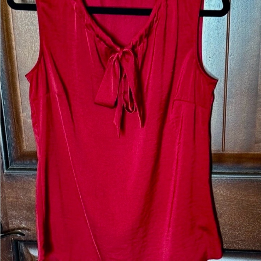 Cabi Cinch Top, size small